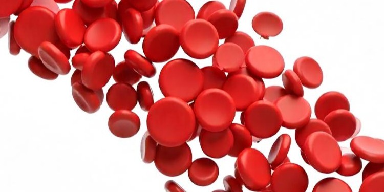 Improved Blood Circulation Improved Blood Circulation