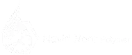 Navid Noor Polymer company